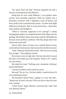 Wavelengths - A Novel