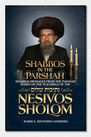 Gems From The Nesivos Shalom - Shabbos in the Parshah