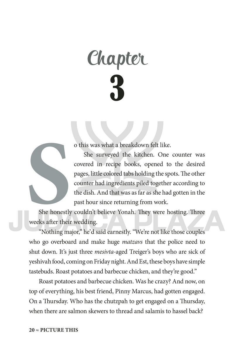 Picture This - A Novel