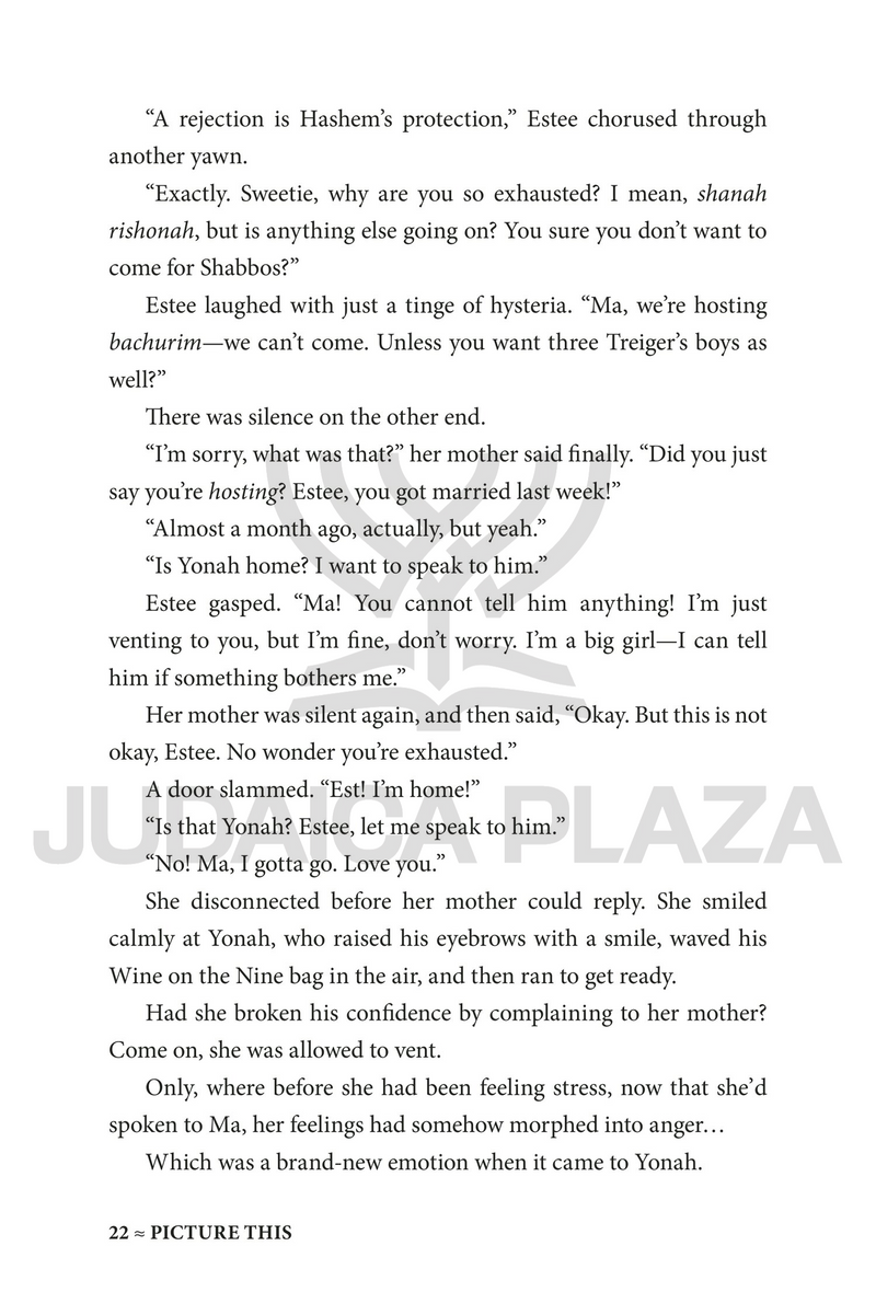 Picture This - A Novel