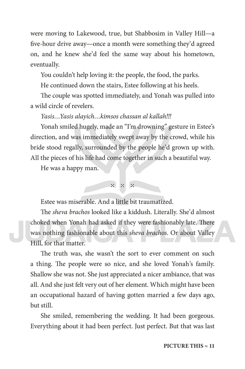 Picture This - A Novel