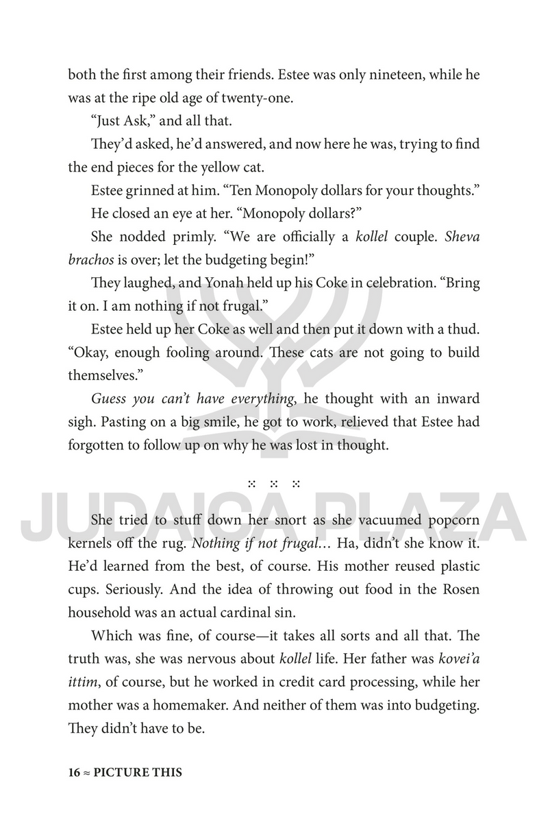 Picture This - A Novel