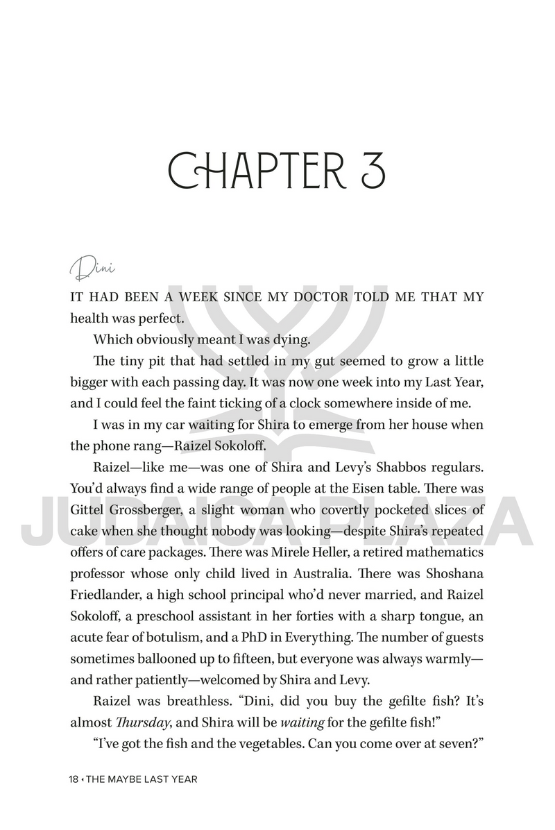 The Maybe Last Year - A Novel