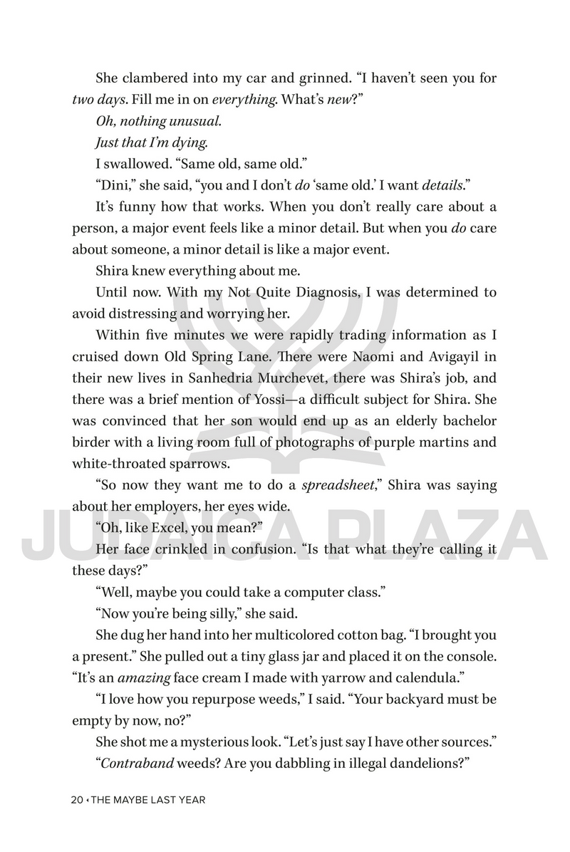 The Maybe Last Year - A Novel