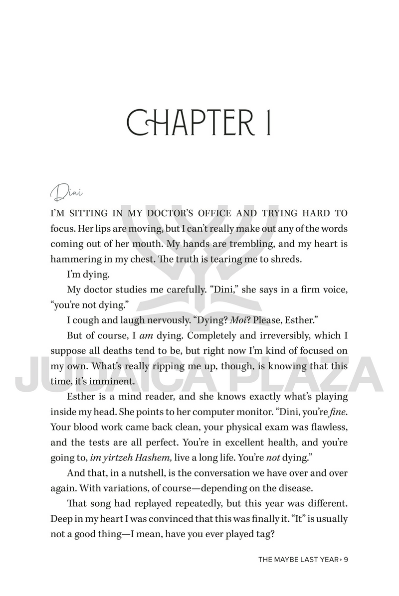 The Maybe Last Year - A Novel