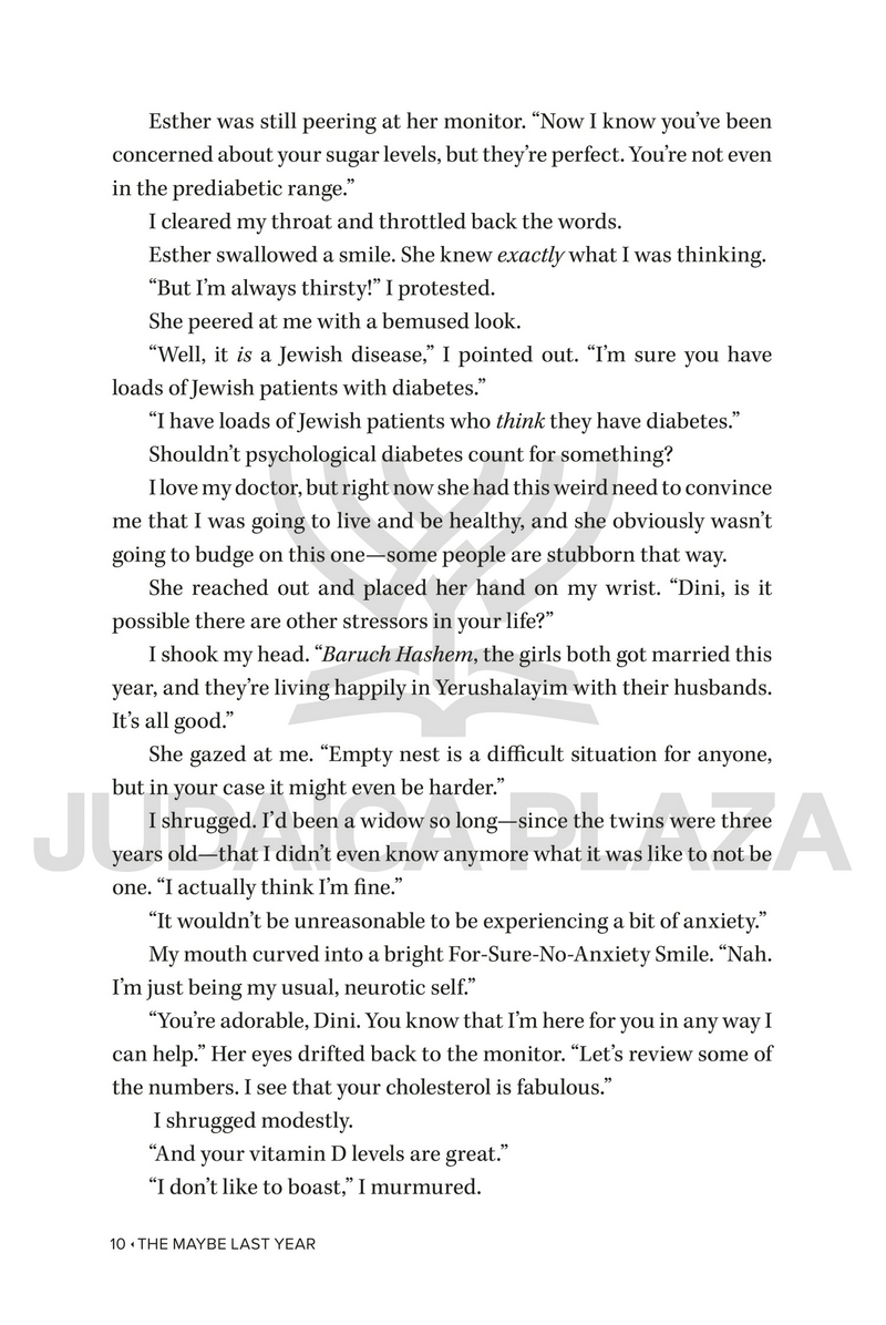 The Maybe Last Year - A Novel