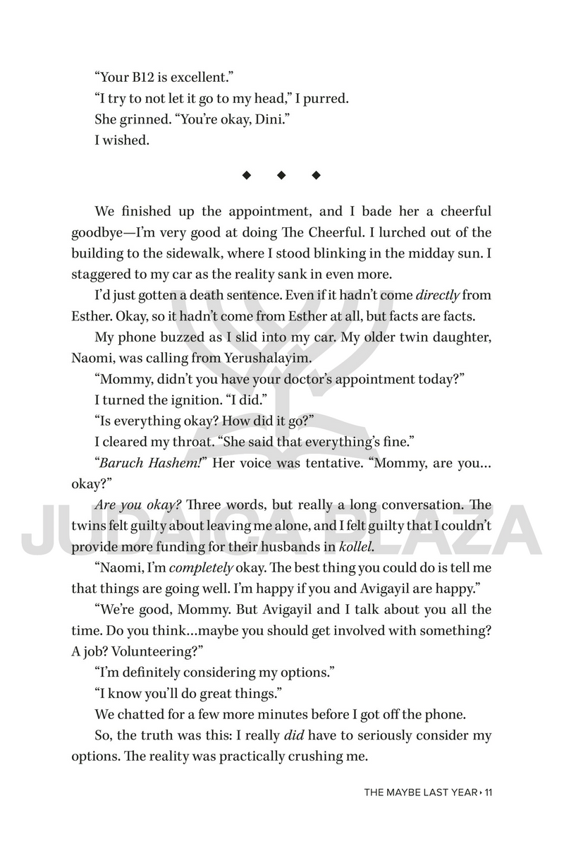 The Maybe Last Year - A Novel