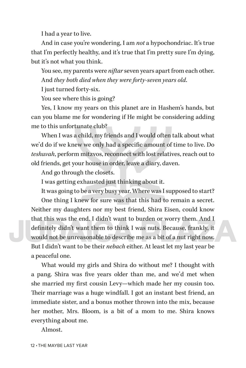 The Maybe Last Year - A Novel