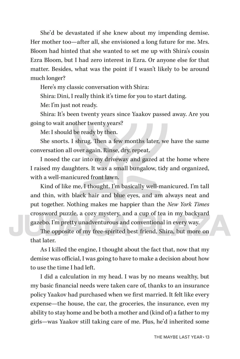 The Maybe Last Year - A Novel