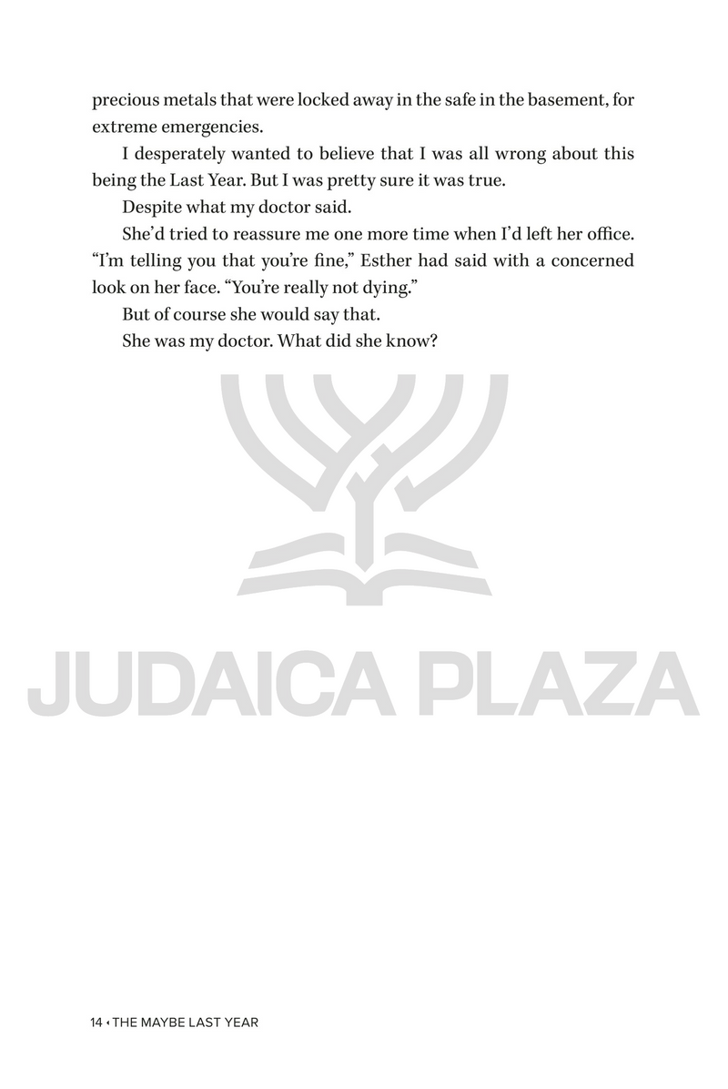 The Maybe Last Year - A Novel