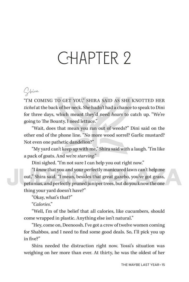 The Maybe Last Year - A Novel