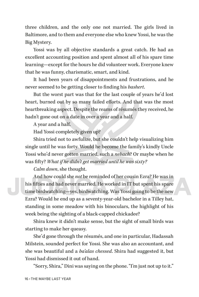 The Maybe Last Year - A Novel