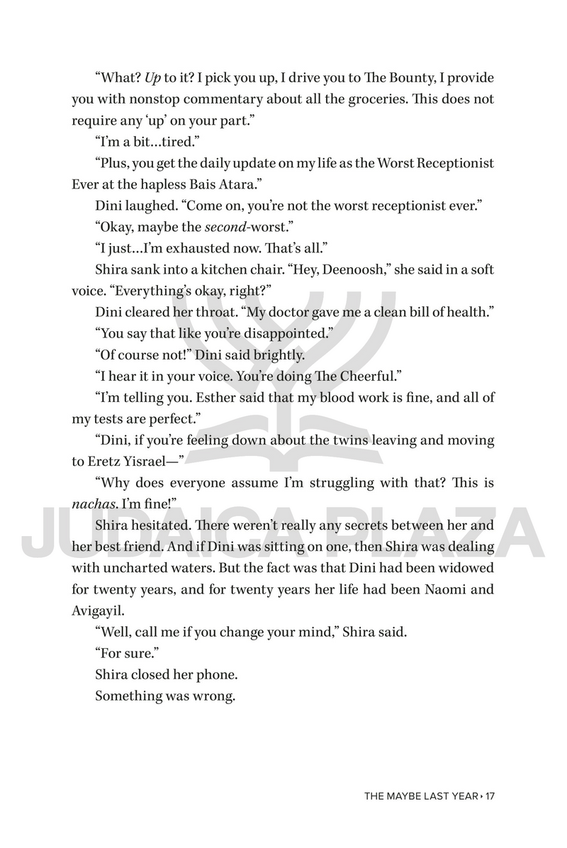 The Maybe Last Year - A Novel