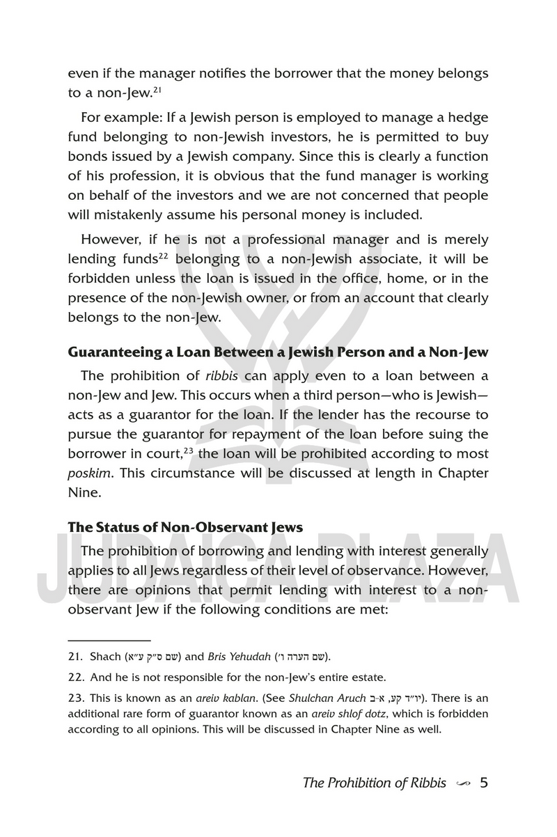 Ribbis in the Business World