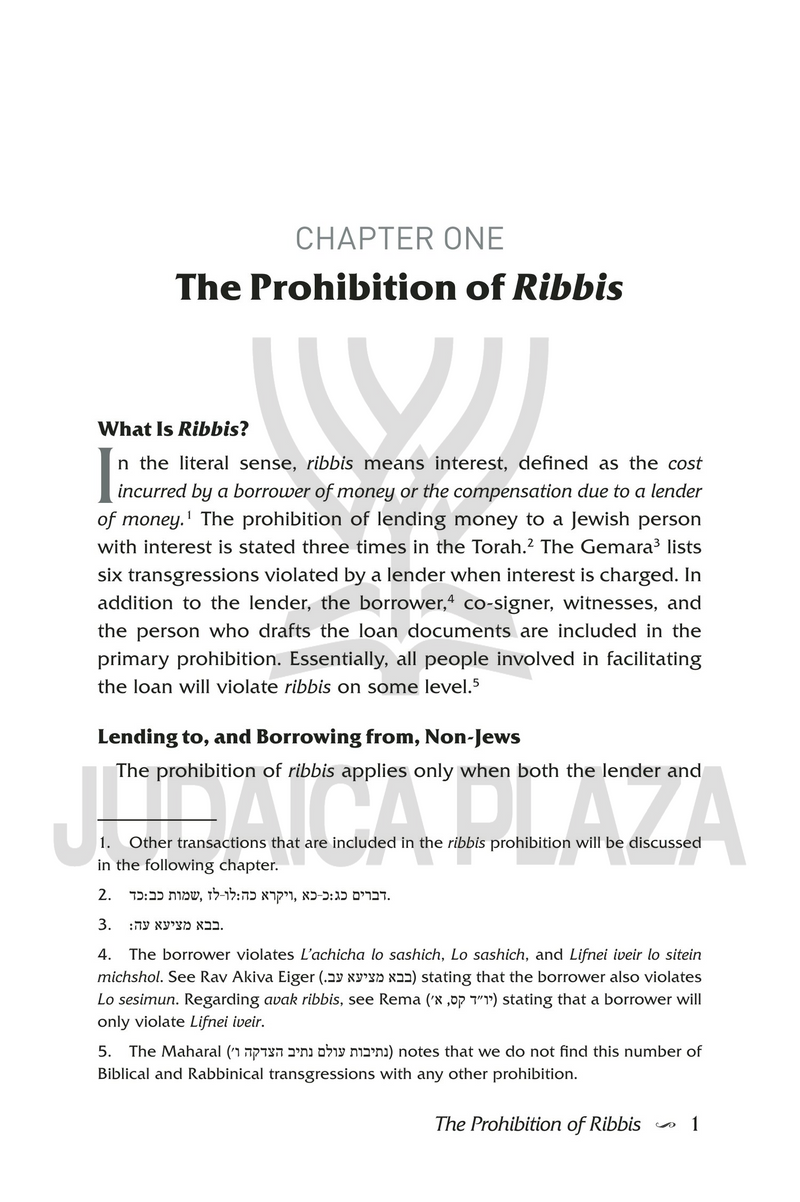 Ribbis in the Business World