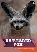 The Jewish World of Wonders - Bizarre Beasts