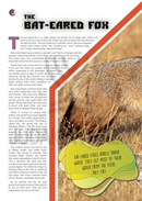 The Jewish World of Wonders - Bizarre Beasts