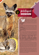 The Jewish World of Wonders - Bizarre Beasts