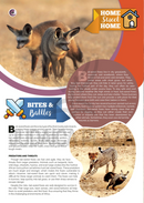 The Jewish World of Wonders - Bizarre Beasts