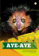 The Jewish World of Wonders - Bizarre Beasts