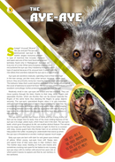 The Jewish World of Wonders - Bizarre Beasts