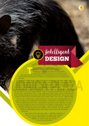 The Jewish World of Wonders - Bizarre Beasts