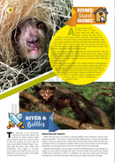 The Jewish World of Wonders - Bizarre Beasts