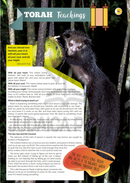 The Jewish World of Wonders - Bizarre Beasts