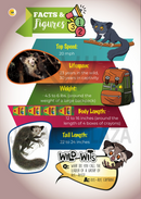 The Jewish World of Wonders - Bizarre Beasts