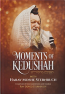 Moments of Kedushah