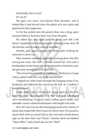 Camp Ash N' Rot - A Novel