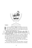 Disillusioned - A Novel