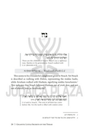 Nifla'os HaTorah: The Gigantic Little Secrets of the Torah