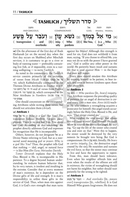 The Interlinear Tashlich (Schottenstein Edition)
