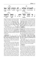 The Interlinear Tashlich (Schottenstein Edition)