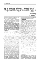 The Interlinear Tashlich (Schottenstein Edition)