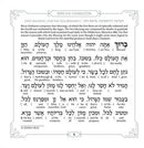 Schottenstein Interlinear Zemiros Shabbos: Faux Leather with Lucite Case (Set of 6)