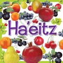 Can You Find It? Brachos