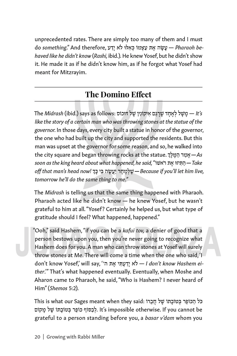 Growing with Rabbi Miller