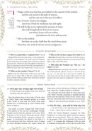 Kol Menachem Tehillim (Schottenstein Edition)