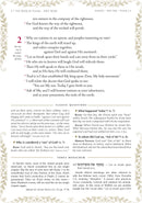 Kol Menachem Tehillim (Schottenstein Edition)
