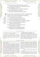 Kol Menachem Tehillim (Schottenstein Edition)