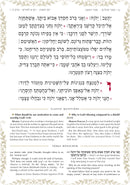 Kol Menachem Tehillim (Schottenstein Edition)