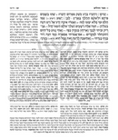 Tehillim with the Teachings of the Talmud