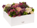 Bencher Holder: Lucite with Flowers (Set of 6)