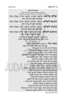 Artscroll Hebrew Machzor: Succos - Hardcover