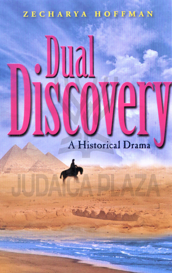 Dual Discovery - A Novel