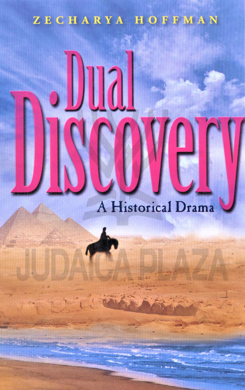 Dual Discovery - A Novel