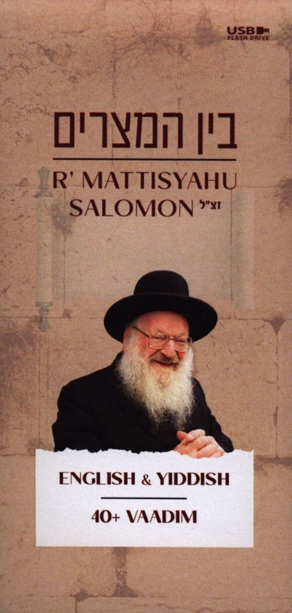 R' Mattisyahu Salomon: Bein HaMitzarim (USB)