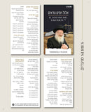 The R' Mattisyahu Salomon Collection (USB & Booklet)